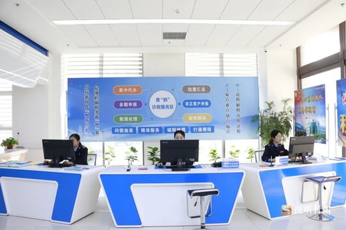 稅力量助高效辦成一件事 平?jīng)鲠轻挤丈闲赂闲镍P凰網(wǎng)甘肅 鳳凰網(wǎng)